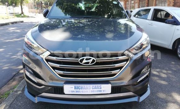 Buy Used Hyundai Tucson Silver Car in Maputsoa in Leribe Buy Used Hyundai Tucson Silver Car in Maputsoa in Leribe