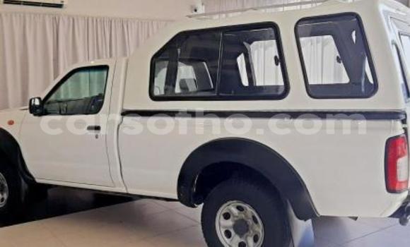 Acheter Occasion Voiture Nissan NP 300 Vert à Maputsoa, Leribe Acheter Occasion Voiture Nissan NP 300 Vert à Maputsoa, Leribe