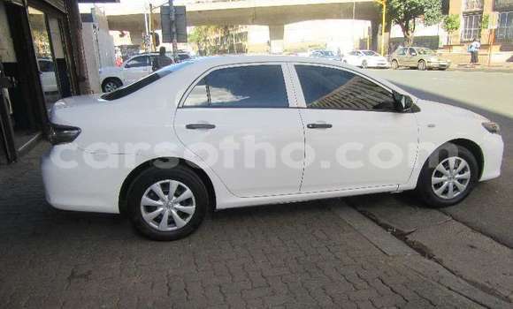 Sayi Na hannu Toyota Corolla White Mota in Maseru a Maseru Sayi Na hannu Toyota Corolla White Mota in Maseru a Maseru