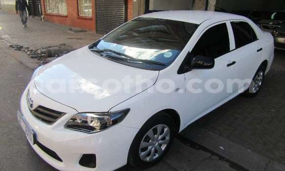 Sayi Na hannu Toyota Corolla White Mota in Maseru a Maseru Sayi Na hannu Toyota Corolla White Mota in Maseru a Maseru