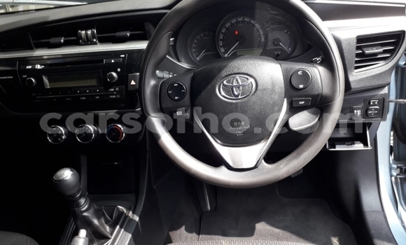 Acheter Occasion Voiture Toyota Corolla Bleu à Maseru, Maseru Acheter Occasion Voiture Toyota Corolla Bleu à Maseru, Maseru