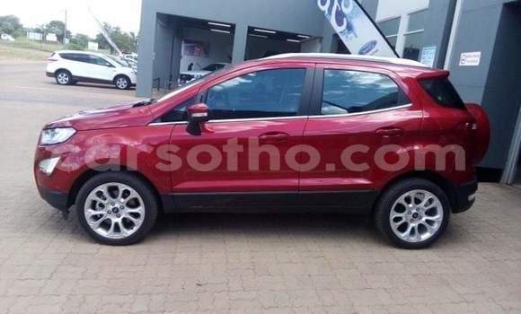 اشتري مستعمل Ford EcoSport Other سيارة في Mafeteng في Mafeteng اشتري مستعمل Ford EcoSport Other سيارة في Mafeteng في Mafeteng
