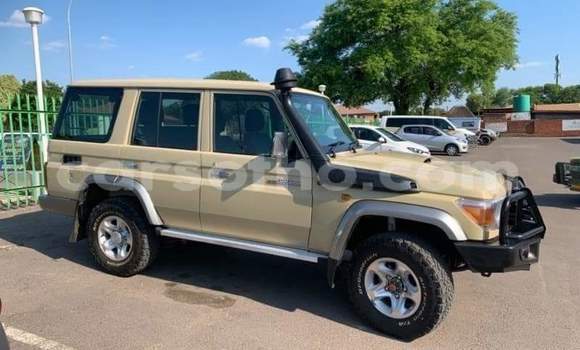اشتري مستعمل Toyota Land Cruiser Beige سيارة في Roma في Maseru اشتري مستعمل Toyota Land Cruiser Beige سيارة في Roma في Maseru