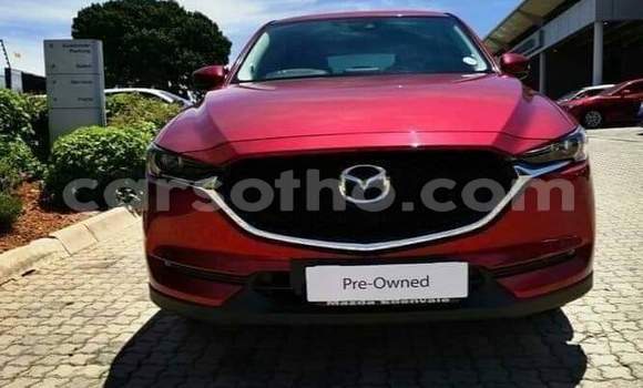 Sayi Na hannu Mazda CX-5 Red Mota in Maseru a Maseru Sayi Na hannu Mazda CX-5 Red Mota in Maseru a Maseru