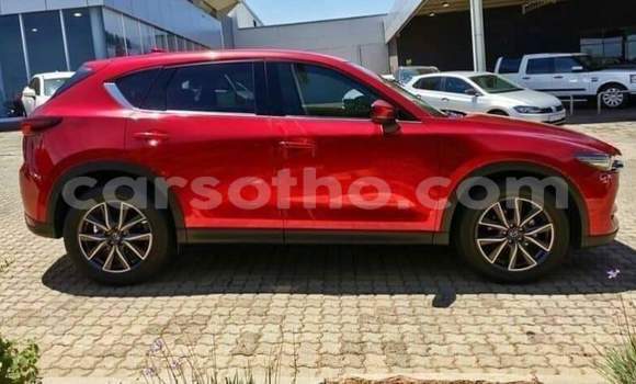 Sayi Na hannu Mazda CX-5 Red Mota in Maseru a Maseru Sayi Na hannu Mazda CX-5 Red Mota in Maseru a Maseru
