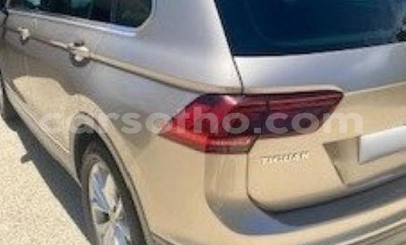 اشتري مستعمل Volkswagen Tiguan Beige سيارة في Maseru في Maseru اشتري مستعمل Volkswagen Tiguan Beige سيارة في Maseru في Maseru