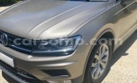 اشتري مستعمل Volkswagen Tiguan Beige سيارة في Maseru في Maseru اشتري مستعمل Volkswagen Tiguan Beige سيارة في Maseru في Maseru