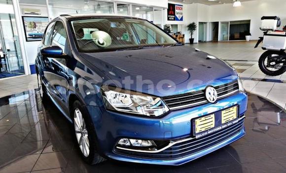 اشتري مستعمل Volkswagen Polo Blue سيارة في Maseru في Maseru اشتري مستعمل Volkswagen Polo Blue سيارة في Maseru في Maseru