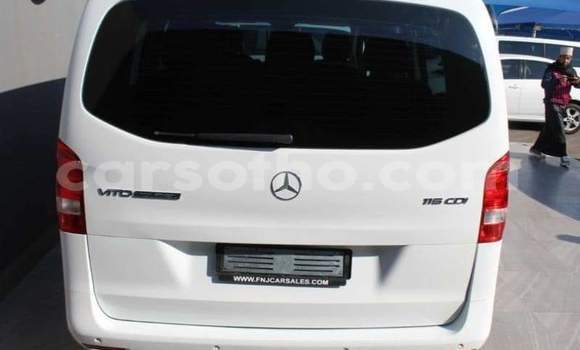 اشتري مستعمل Mercedes-Benz Vito Silver سيارة في Maseru في Maseru اشتري مستعمل Mercedes-Benz Vito Silver سيارة في Maseru في Maseru