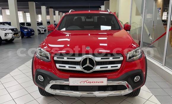 اشتري مستعمل Mercedes-Benz X-klasse Concept Red سيارة في Maseru في Maseru اشتري مستعمل Mercedes-Benz X-klasse Concept Red سيارة في Maseru في Maseru