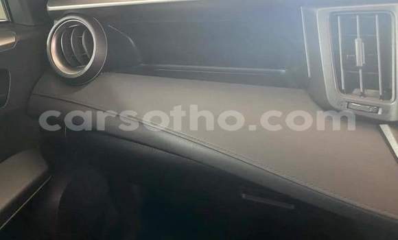 اشتري مستعمل Toyota RAV4 White سيارة في Maputsoe في Leribe اشتري مستعمل Toyota RAV4 White سيارة في Maputsoe في Leribe
