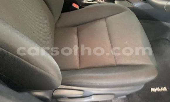 اشتري مستعمل Toyota RAV4 White سيارة في Maputsoe في Leribe اشتري مستعمل Toyota RAV4 White سيارة في Maputsoe في Leribe