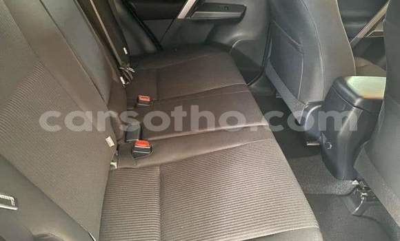 اشتري مستعمل Toyota RAV4 White سيارة في Maputsoe في Leribe اشتري مستعمل Toyota RAV4 White سيارة في Maputsoe في Leribe
