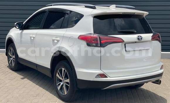 اشتري مستعمل Toyota RAV4 White سيارة في Maputsoe في Leribe اشتري مستعمل Toyota RAV4 White سيارة في Maputsoe في Leribe