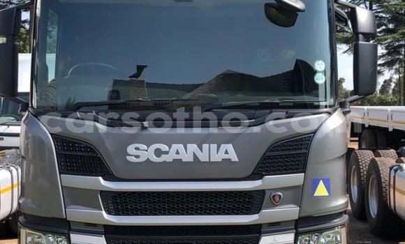 اشتري مستعمل Scania Irizar Other شاحنة في Maseru في Maseru اشتري مستعمل Scania Irizar Other شاحنة في Maseru في Maseru