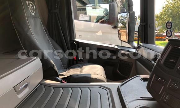 اشتري مستعمل Scania Irizar Other شاحنة في Maseru في Maseru اشتري مستعمل Scania Irizar Other شاحنة في Maseru في Maseru