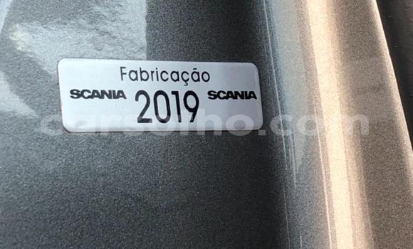 اشتري مستعمل Scania Irizar Other شاحنة في Maseru في Maseru اشتري مستعمل Scania Irizar Other شاحنة في Maseru في Maseru