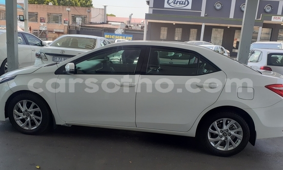 Buy Used Toyota Corolla White Car in Maseru in Maseru Buy Used Toyota Corolla White Car in Maseru in Maseru