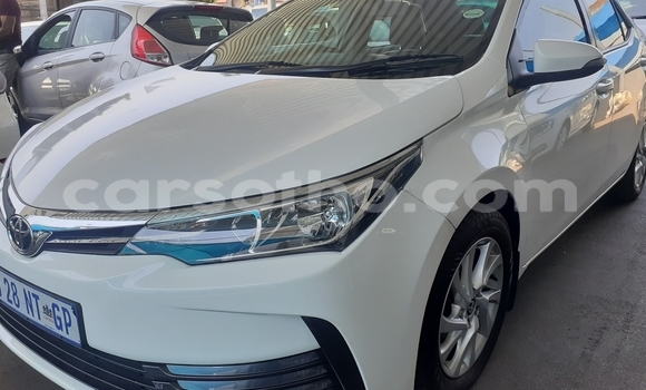 Buy Used Toyota Corolla White Car in Maseru in Maseru Buy Used Toyota Corolla White Car in Maseru in Maseru