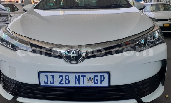 Buy Used Toyota Corolla White Car in Maseru in Maseru Buy Used Toyota Corolla White Car in Maseru in Maseru