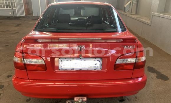 Acheter Occasion Voiture Toyota Corolla Rouge à Maputsoa, Leribe Acheter Occasion Voiture Toyota Corolla Rouge à Maputsoa, Leribe