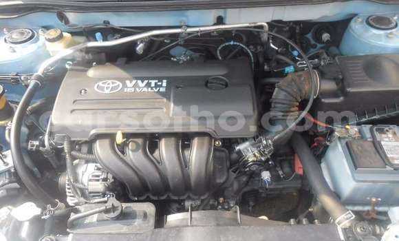 Acheter Occasion Voiture Toyota Runx Bleu à Maputsoa, Leribe Acheter Occasion Voiture Toyota Runx Bleu à Maputsoa, Leribe