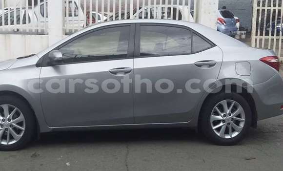 Buy Used Toyota Corolla Silver Car in Maseru in Maseru Buy Used Toyota Corolla Silver Car in Maseru in Maseru