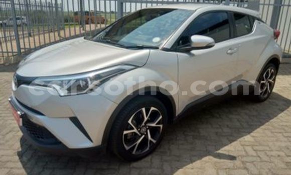 Buy Used Toyota C-HR Silver Car in Maputsoa in Leribe Buy Used Toyota C-HR Silver Car in Maputsoa in Leribe