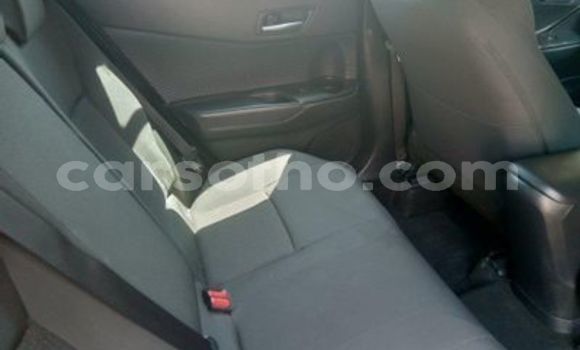 Buy Used Toyota C-HR Silver Car in Maputsoa in Leribe Buy Used Toyota C-HR Silver Car in Maputsoa in Leribe