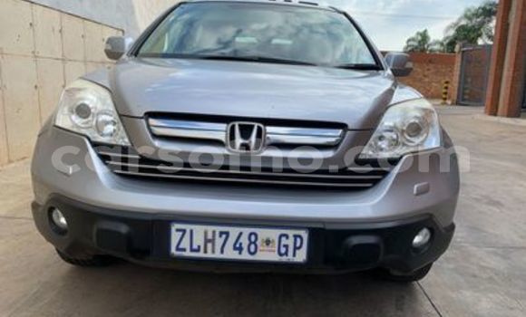 Acheter Occasion Voiture Honda CR–V Gris à Butha–Buthe, Thaba-Tseka Acheter Occasion Voiture Honda CR–V Gris à Butha–Buthe, Thaba-Tseka