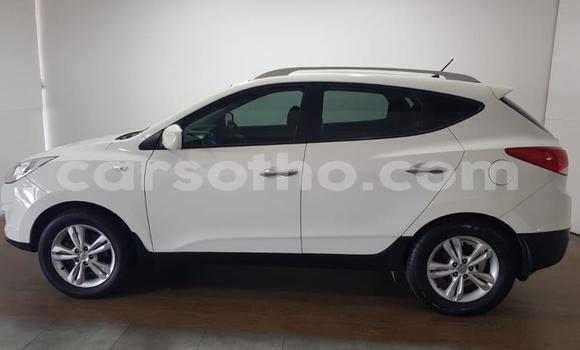Buy Used Hyundai ix35 White Car in Quthing in Butha-Buthe Buy Used Hyundai ix35 White Car in Quthing in Butha-Buthe