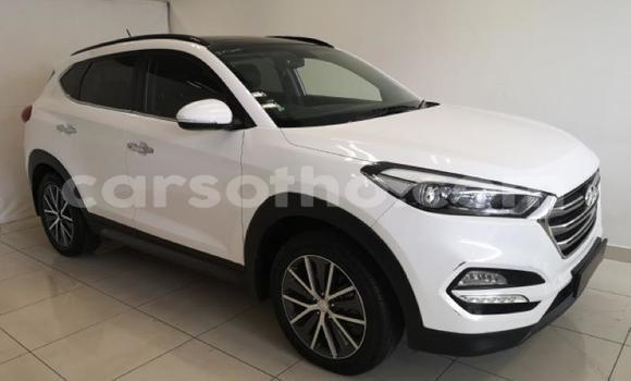 Buy Used Hyundai Tucson White Car in Maseru in Maseru Buy Used Hyundai Tucson White Car in Maseru in Maseru