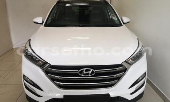 Buy Used Hyundai Tucson White Car in Maseru in Maseru Buy Used Hyundai Tucson White Car in Maseru in Maseru