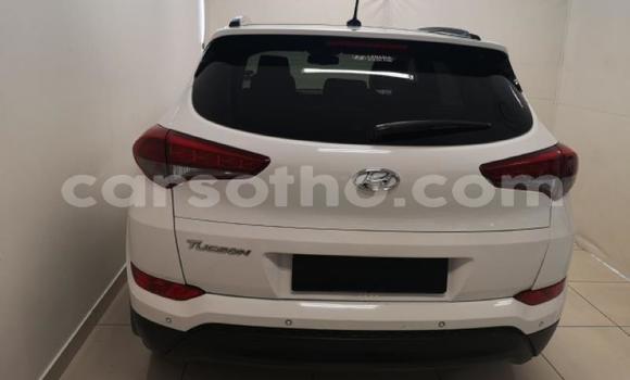 Buy Used Hyundai Tucson White Car in Maseru in Maseru Buy Used Hyundai Tucson White Car in Maseru in Maseru