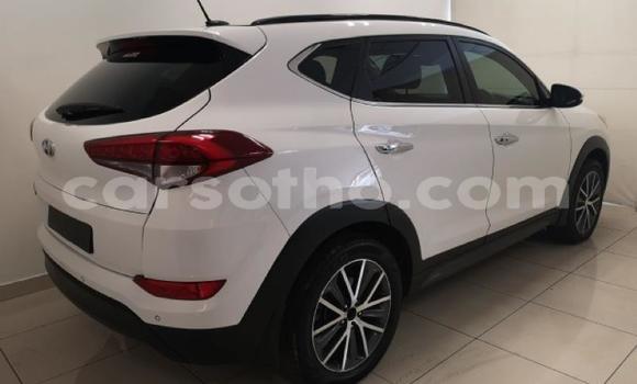 Buy Used Hyundai Tucson White Car in Maseru in Maseru Buy Used Hyundai Tucson White Car in Maseru in Maseru