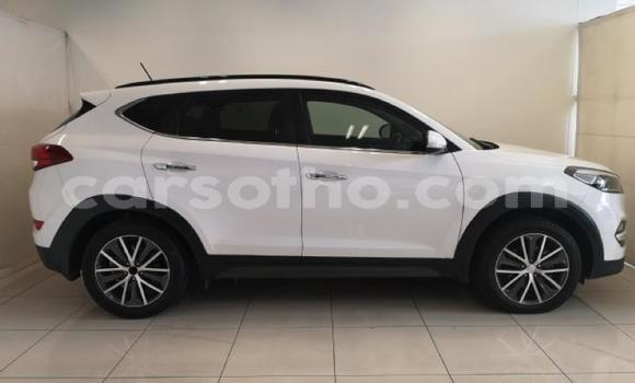 Buy Used Hyundai Tucson White Car in Maseru in Maseru Buy Used Hyundai Tucson White Car in Maseru in Maseru