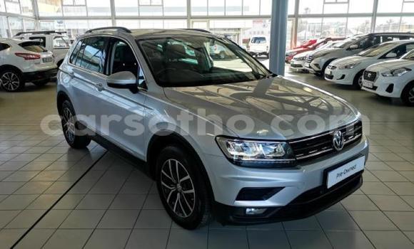 Buy Used Volkswagen Tiguan Silver Car in Butha–Buthe in Thaba-Tseka Buy Used Volkswagen Tiguan Silver Car in Butha–Buthe in Thaba-Tseka