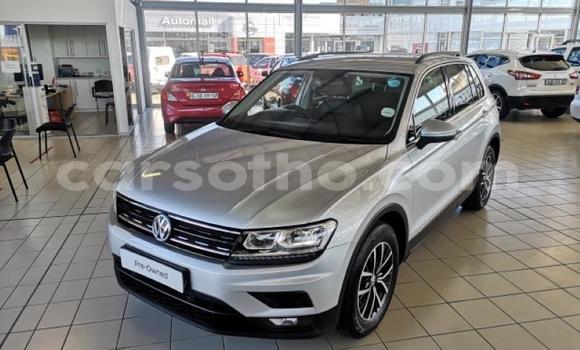 Buy Used Volkswagen Tiguan Silver Car in Butha–Buthe in Thaba-Tseka Buy Used Volkswagen Tiguan Silver Car in Butha–Buthe in Thaba-Tseka
