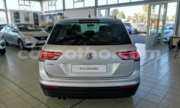 Buy Used Volkswagen Tiguan Silver Car in Butha–Buthe in Thaba-Tseka Buy Used Volkswagen Tiguan Silver Car in Butha–Buthe in Thaba-Tseka