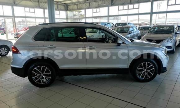 Buy Used Volkswagen Tiguan Silver Car in Butha–Buthe in Thaba-Tseka Buy Used Volkswagen Tiguan Silver Car in Butha–Buthe in Thaba-Tseka