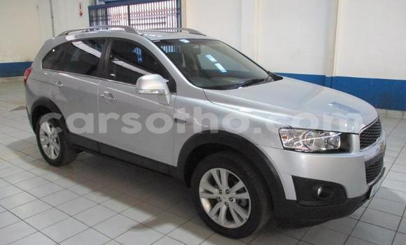 Buy Used Chevrolet Captiva Silver Car in Teyateyaneng in Berea Buy Used Chevrolet Captiva Silver Car in Teyateyaneng in Berea