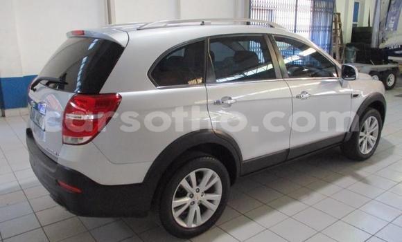 Buy Used Chevrolet Captiva Silver Car in Teyateyaneng in Berea Buy Used Chevrolet Captiva Silver Car in Teyateyaneng in Berea