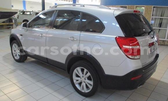 Buy Used Chevrolet Captiva Silver Car in Teyateyaneng in Berea Buy Used Chevrolet Captiva Silver Car in Teyateyaneng in Berea