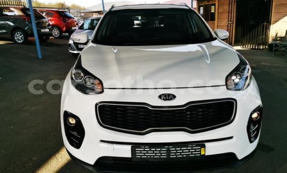 Buy Used Kia Sportage White Car in Mafeteng in Mafeteng Buy Used Kia Sportage White Car in Mafeteng in Mafeteng