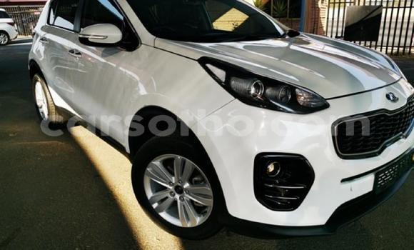 Buy Used Kia Sportage White Car in Mafeteng in Mafeteng Buy Used Kia Sportage White Car in Mafeteng in Mafeteng