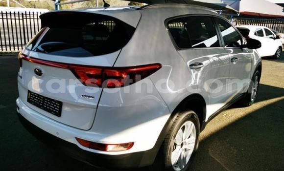 Buy Used Kia Sportage White Car in Mafeteng in Mafeteng Buy Used Kia Sportage White Car in Mafeteng in Mafeteng
