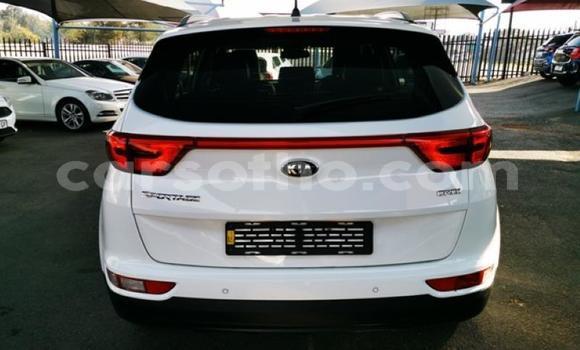 Buy Used Kia Sportage White Car in Mafeteng in Mafeteng Buy Used Kia Sportage White Car in Mafeteng in Mafeteng