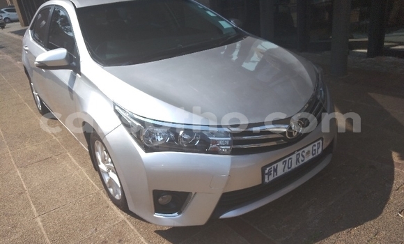 Buy Used Toyota Corolla Silver Car in Maseru in Maseru Buy Used Toyota Corolla Silver Car in Maseru in Maseru