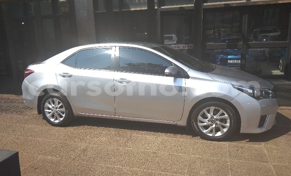 Buy Used Toyota Corolla Silver Car in Maseru in Maseru Buy Used Toyota Corolla Silver Car in Maseru in Maseru