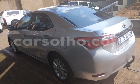 Buy Used Toyota Corolla Silver Car in Maseru in Maseru Buy Used Toyota Corolla Silver Car in Maseru in Maseru
